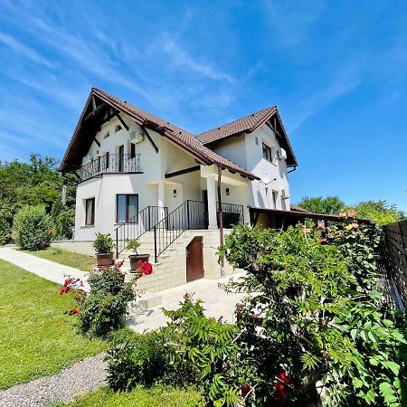 Hermesvilla Băile Felix Exteriér fotografie