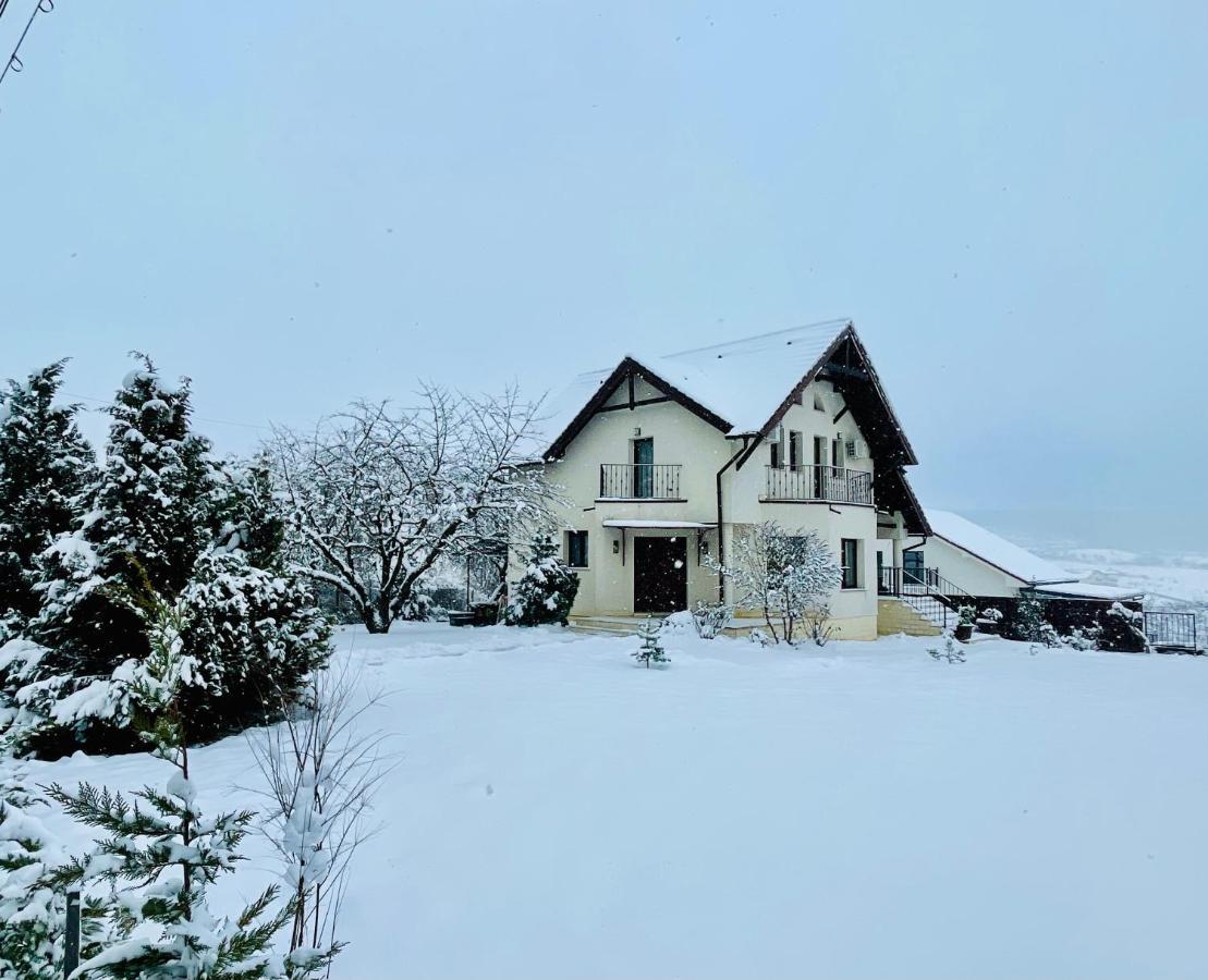Hermesvilla Băile Felix Exteriér fotografie