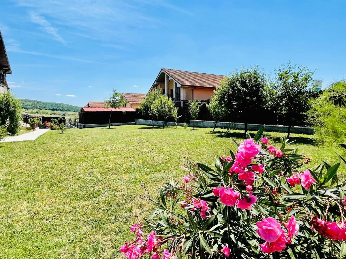 Hermesvilla Băile Felix Exteriér fotografie