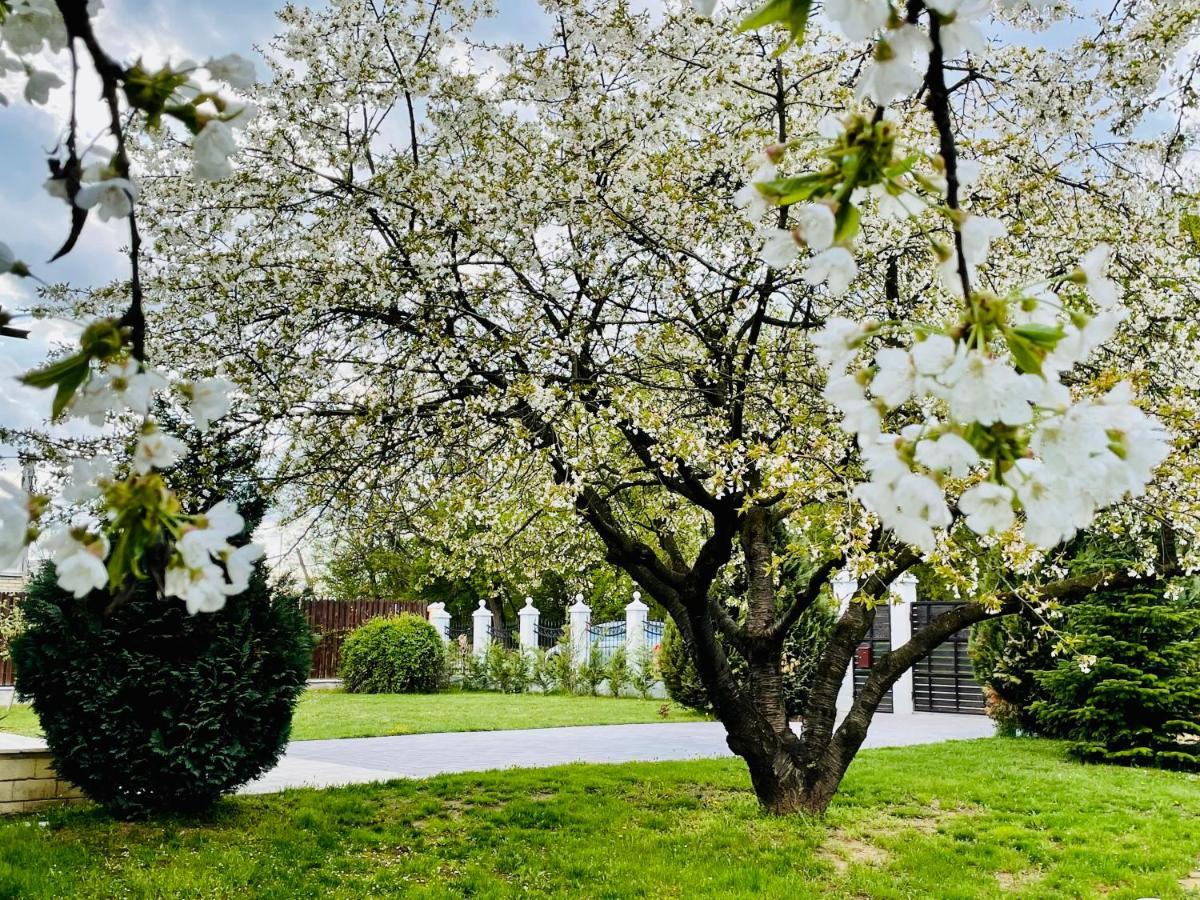 Hermesvilla Băile Felix Exteriér fotografie