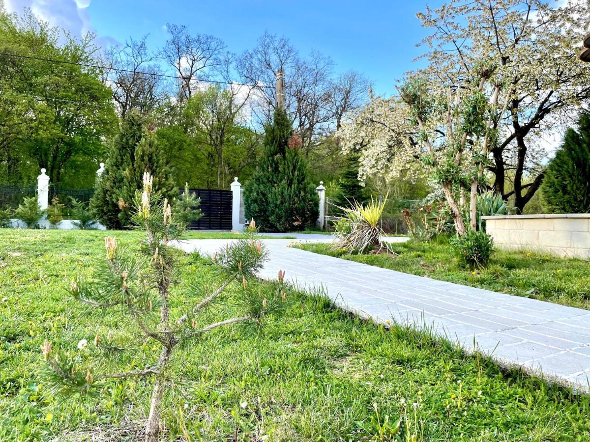 Hermesvilla Băile Felix Exteriér fotografie